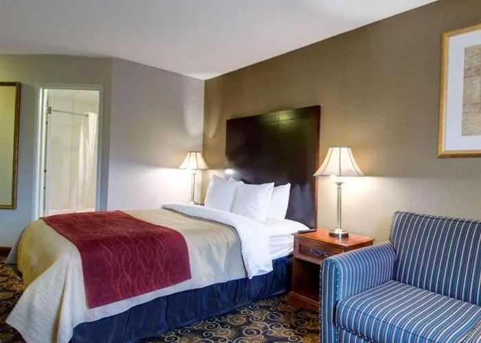 Comfort Inn Foxboro - Mansfield